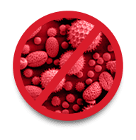 germs and bacteria